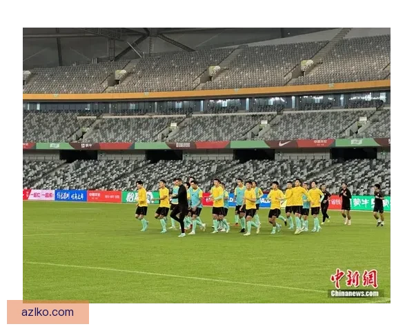 世界杯看台俯拍慢动作高清爆火球迷齐呼希望持续放出更多素材